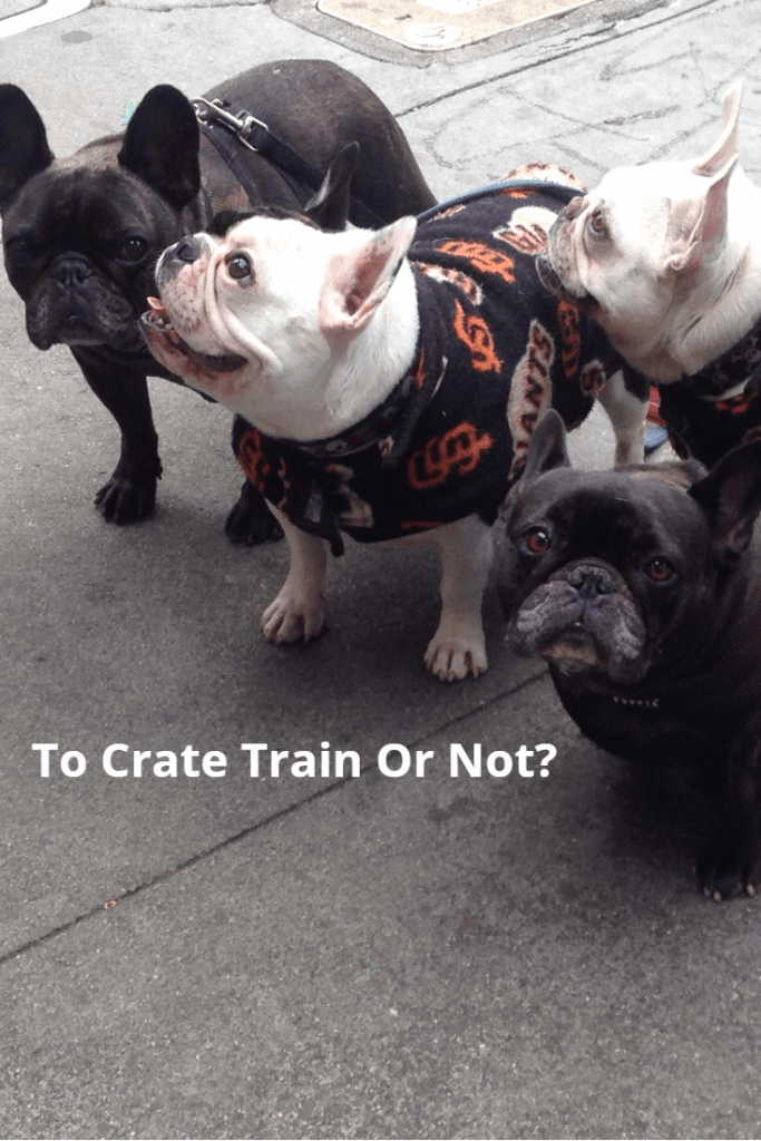 to crate train your dog, or not pinterest