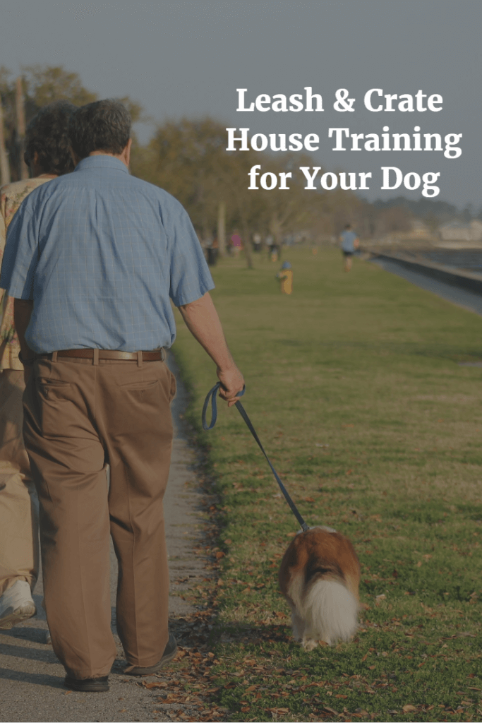 Leash & Crate House Training for Your Dog
