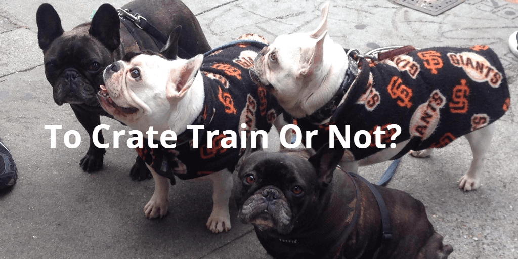 crate train your dog, or not