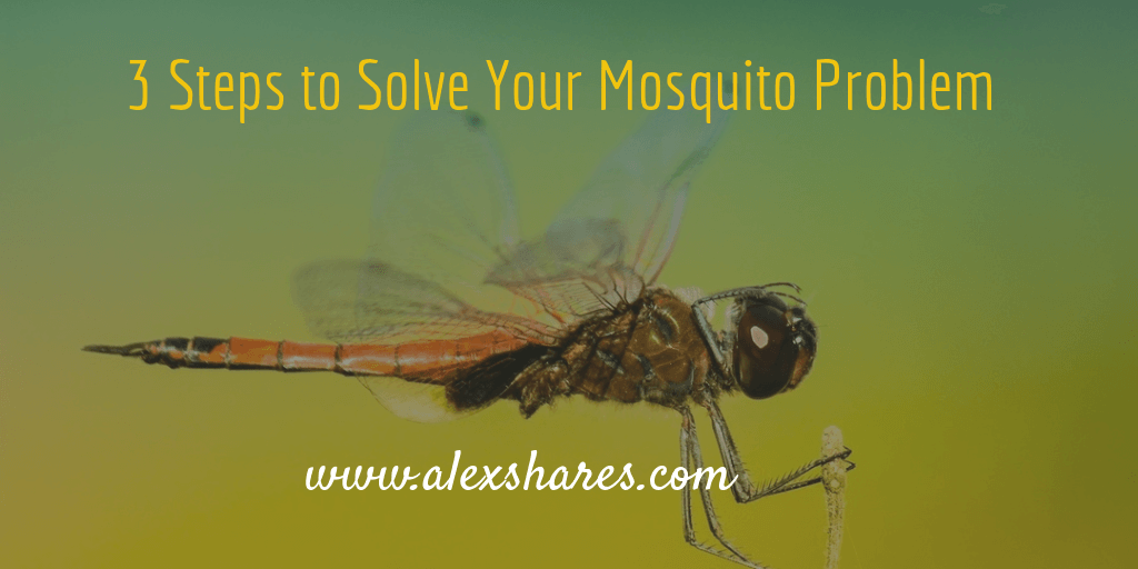 how to solve mosquito problem